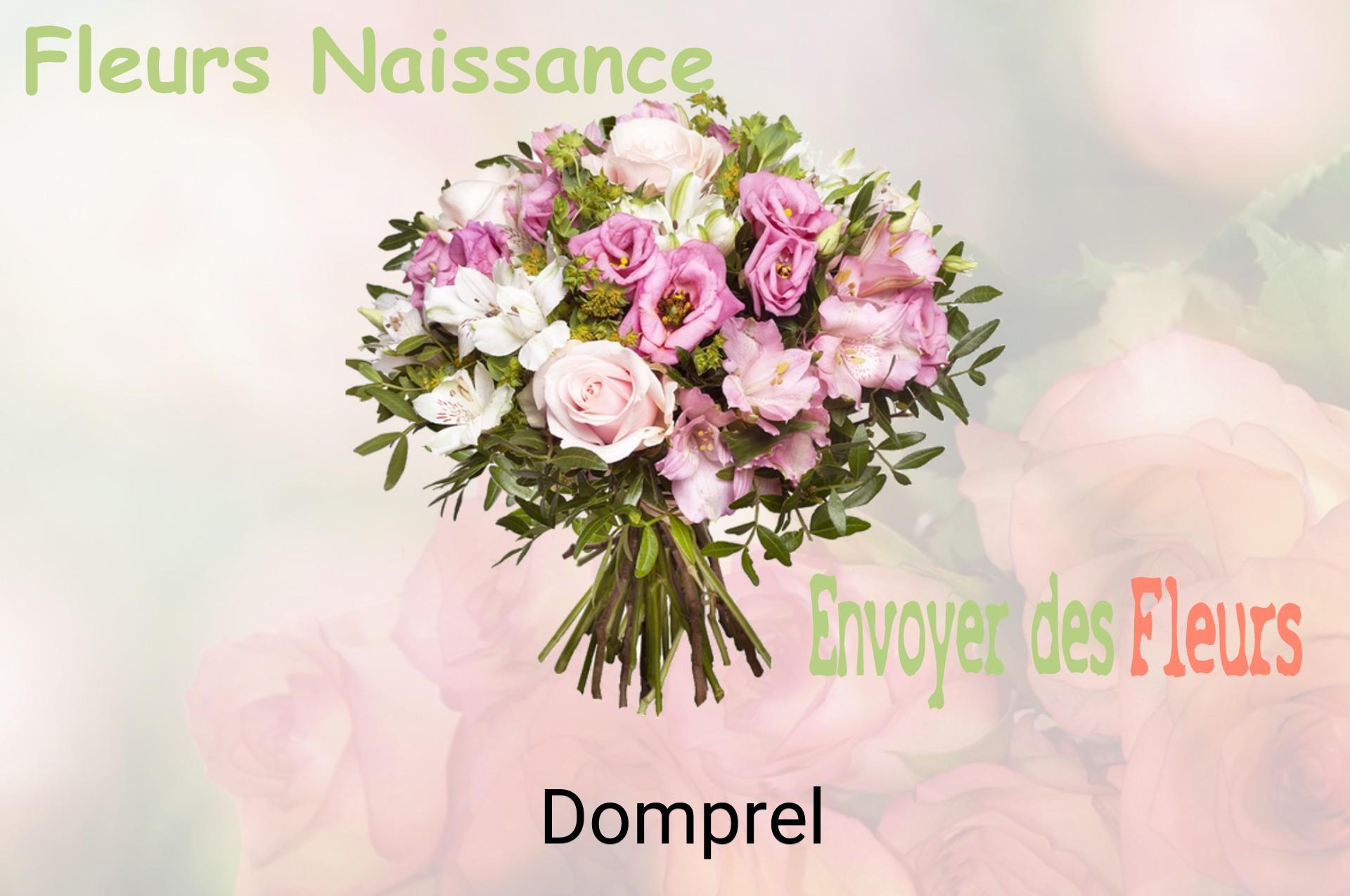 Bouquet de fleurs de naissance livré à Domprel